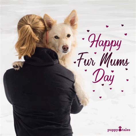 dog mom gif|animal mom gif.